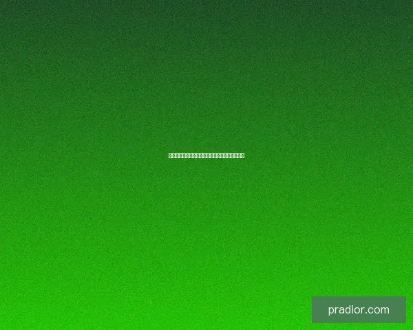 圣巫加点与战斗策略解析提升角色实力的全面指南